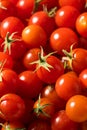 Raw Organic Heirloom Cherry Tomatoes Royalty Free Stock Photo