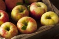 Raw Organic Honeycrisp Apples Royalty Free Stock Photo