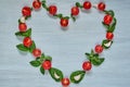 Raw organic ingredients for caprese salad or healthy vegetarian diet dish. Cherry tomatoes, fresh basil leaves, garlic Royalty Free Stock Photo