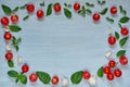 Raw organic ingredients for caprese salad or healthy vegetarian diet dish. Cherry tomatoes, fresh basil leaves, garlic Royalty Free Stock Photo