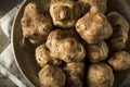 Raw Organic Jerusalem Artichoke Sunchokes