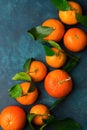 Raw organic juicy tangerines on branch with green leaves on dark blue background. Vitamins healthy lifestyle harvest concept
