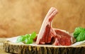 raw organic lamb meat