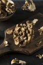 Raw Organic Maitake Mushrooms Royalty Free Stock Photo
