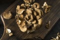 Raw Organic Maitake Mushrooms Royalty Free Stock Photo