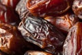 Raw Organic Medjool Dates Royalty Free Stock Photo