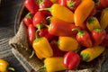 Raw Organic Mini Sweet Peppers