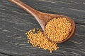 Raw organic mustard seeds in wooden spoon Royalty Free Stock Photo