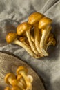 Raw Organic Nameko Mushrooms Royalty Free Stock Photo