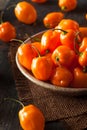 Raw Organic Orange Habanero Peppers