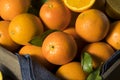 Raw Organic Orange Oranges