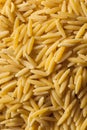 Raw Organic Orzo Pasta Royalty Free Stock Photo