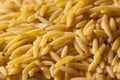 Raw Organic Orzo Pasta Royalty Free Stock Photo
