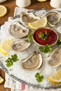 Raw Organic Oysters with Lemon Royalty Free Stock Photo