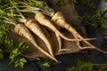 Raw Organic Parsley Root