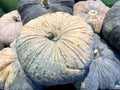 Raw organic pumpkin from the fresh market selling vegetables. Ingredients, dietary fiber, high vitamins.