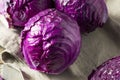 Raw Organic Purple Cabbage