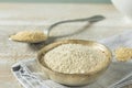 Raw Organic Quinoa Flour