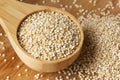 Raw Organic Quinoa Seeds