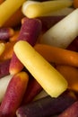 Raw Organic Rainbow Baby Carrots Royalty Free Stock Photo