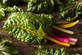 Raw Organic Rainbow Swiss Chard