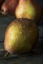 Raw Organic Red Anjou Pears Royalty Free Stock Photo