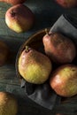 Raw Organic Red Anjou Pears Royalty Free Stock Photo