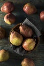 Raw Organic Red Anjou Pears Royalty Free Stock Photo
