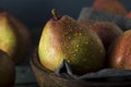 Raw Organic Red Anjou Pears Royalty Free Stock Photo