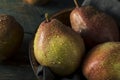 Raw Organic Red Anjou Pears Royalty Free Stock Photo