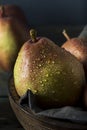 Raw Organic Red Anjou Pears Royalty Free Stock Photo