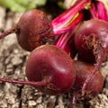 Raw Organic Red Beets Royalty Free Stock Photo