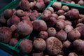 Raw organic red beets at the market. Royalty Free Stock Photo