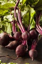 Raw Organic Red Beets Royalty Free Stock Photo