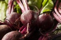 Raw Organic Red Beets Royalty Free Stock Photo