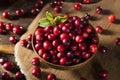 Raw Organic Red Cranberries Royalty Free Stock Photo