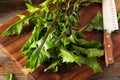 Raw Organic Red Dandelion Greens