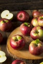 Raw Organic Red Mcintosh Apples Royalty Free Stock Photo