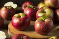 Raw Organic Red Mcintosh Apples Royalty Free Stock Photo
