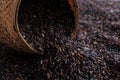 Raw organic riceberry rice in close up Royalty Free Stock Photo