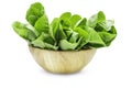 Raw organic romaine lettuce or green cos in wood bowl on white isolated background, clipping path. Fresh cos lettuce have sweet Royalty Free Stock Photo