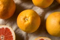 Raw Organic Ruby Red Grapefruit Royalty Free Stock Photo