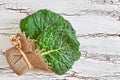 Raw organic savoy cabbage leaves Royalty Free Stock Photo