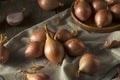 Raw Organic Shallot Onions Royalty Free Stock Photo