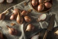 Raw Organic Shallot Onions Royalty Free Stock Photo