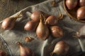 Raw Organic Shallot Onions Royalty Free Stock Photo