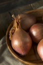 Raw Organic Shallot Onions Royalty Free Stock Photo