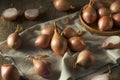 Raw Organic Shallot Onions Royalty Free Stock Photo