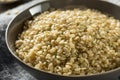 Raw Organic Short Grain Brown Rice Royalty Free Stock Photo