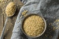 Raw Organic Short Grain Brown Rice Royalty Free Stock Photo